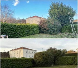 Photo de galerie - Taille de haies et d'arbustes