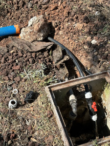 Photo de galerie - Paysagiste - Aménagement du jardin