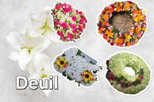 Photo de galerie - Création réalisée 