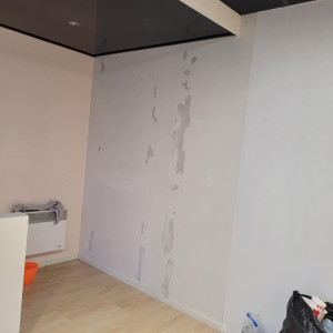 Photo de galerie - Le mur du haut avant travaux