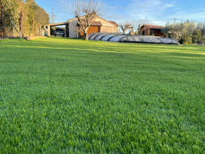 Photo de galerie - Pose de pelouse synthétique 