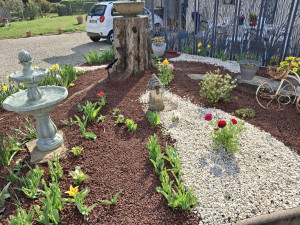 Photo de galerie - Aménagement paysagers 