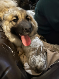 Photo de galerie - Doux☘️