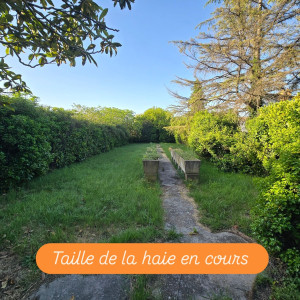 Photo de galerie - Avant taille de la haie