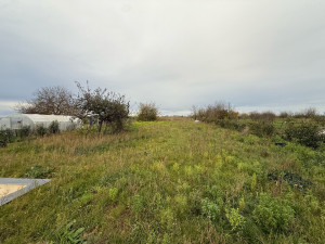 Photo de galerie - Tonte et débroussaillage d’un jardin de 2000m2 