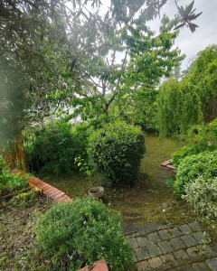 Photo de galerie - Jardin 