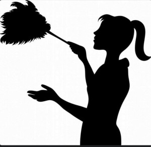 Photo de galerie - Prestation de ménage de haute qualité : lits au carré, surface sans traces, vitres impeccables !