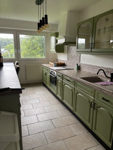 Photo de galerie - Cuisiné dégraisser, nettoyer et désinfection 