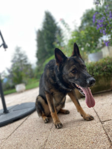 Photo de galerie - Garde de Oslo