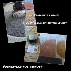 Photo de galerie - Nettoyage tapis ou canapé tissus
