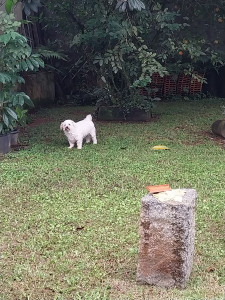 Photo de galerie - Je  profite le jardin 