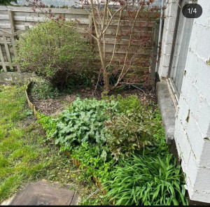 Photo de galerie - Paysagiste - Aménagement du jardin