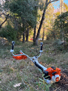 Photo de galerie - Tonte de pelouse - Débroussaillage