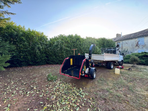 Photo de galerie - Taille de  haie de 110 mètre de longt 
