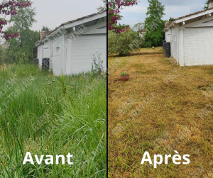 Photo de galerie - Jardin 
