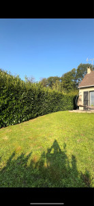 Photo de galerie - Tonte d'une pelouse de 350m2 en octobre 2024