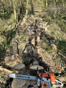 Photo de galerie - Coupe d’arbre pour bois de chauffage 
