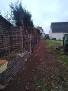 Photo de galerie - Réduction côté extérieur sur une haie d'atrovirens avec changement de clôture en piquets d'acacias avec grillage à mouton donnant sur un champ agricole 