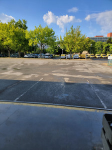 Photo de galerie - Livreur expérimenté 