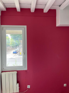 Photo de galerie - Tassin 