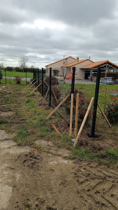 Photo de galerie - Pose grillage rigide 