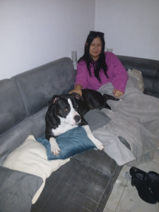 Photo de galerie - J ai gardé bouledogue allemand adorable 2 semaines