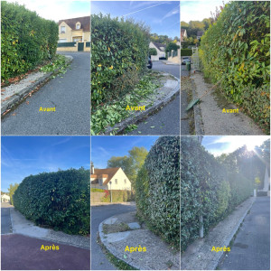 Photo de galerie - Client, satisfait 