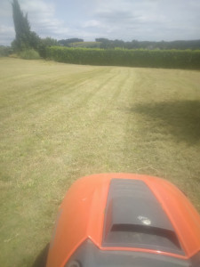 Photo de galerie - Tonte de pelouse - Débroussaillage