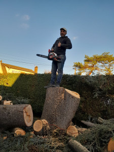 Photo de galerie - Partage d'un sapin