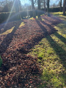 Photo de galerie - Jardinier