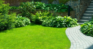 Photo de galerie - Entretien espaces verts 