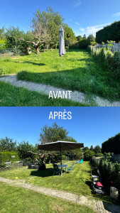 Photo de galerie - Tonte d’une pelouse d’1 mois 