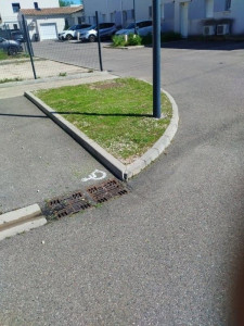 Photo de galerie - Tonte de pelouse - Débroussaillage