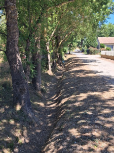 Photo de galerie - Nettoyage d’un fossé. 