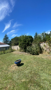 Photo de galerie - Taille de haies et d'arbustes