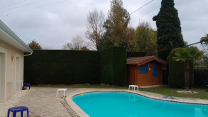 Photo de galerie - Paysagiste - Aménagement du jardin