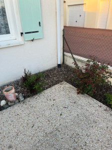 Photo de galerie - L’après 