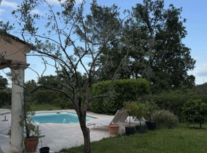 Photo de galerie - Taille de haies et d'arbustes