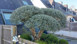Photo de galerie - .