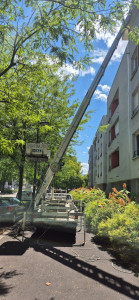 Photo de galerie - Monte meuble