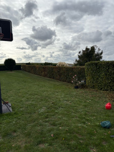 Photo de galerie - Taille