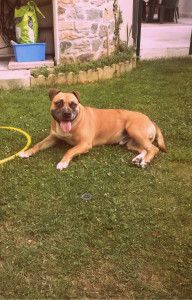 Photo de galerie - . 