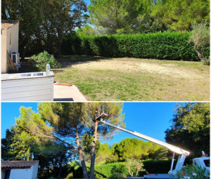 Photo de galerie - Avant et après