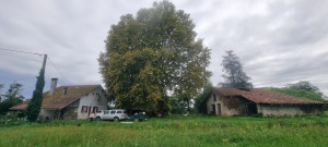 Photo de galerie - Entretien/élagage/nettoyage de grange