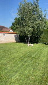 Photo de galerie - Tonte de pelouse chez un particulier à la Chapelle Saint Ursin