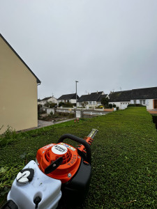 Photo de galerie - Taille de haie 