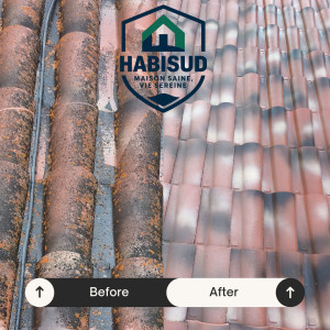 Photo de galerie - Nettoyage et démoussage de toiture réalisés à basse pression, dans le respect des matériaux, avec application d’un traitement fongicide professionnel puis d’un hydrofuge de protection pour assurer une toiture saine, durable et protégée dans le temps.