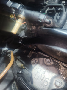 Photo de galerie - Distribution 