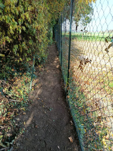 Photo de galerie - Désherbage entretien 