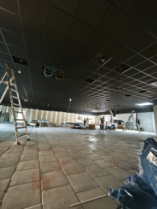 Photo de galerie - Renovation de plafond 